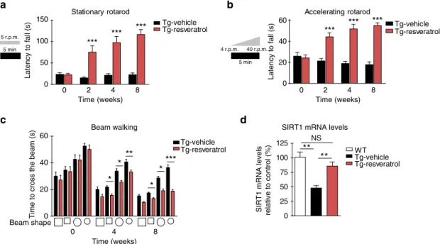 Figure 7 | Peripheral administration of resveratrol ameliorates motor deﬁcits and restores SIRT1 mRNA levels in Tg MJD mice