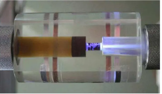 Figure 1-2: Photography of a Russian cell with electrical discharge taken by S. B.