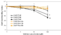 Fig. 2. Calpain regulates pericyte contractile force production