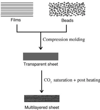 Fig. 1 is a schematic summarizing the method used in producing multilayered polymer with nano-interlayer gaps
