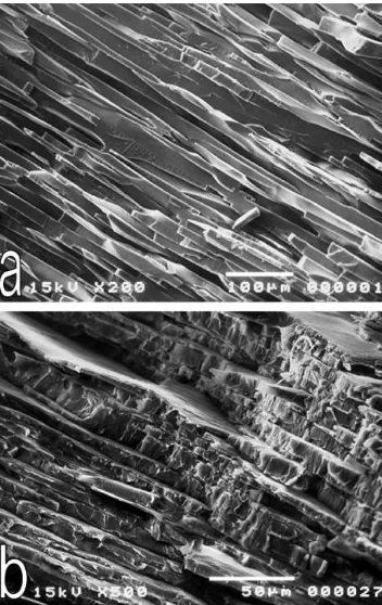 Figure 2 SEM photograph of multilayered polystyrene: Sample was fractured at (a) liquid nitrogen temperature (b) room temperature.