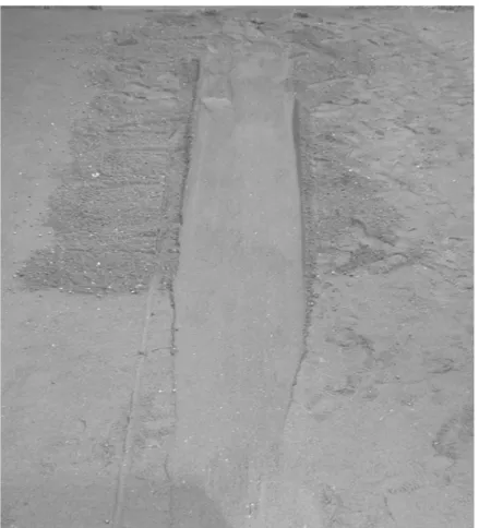 Figure 5 Photograph of a scour path.  The bulldozing section is at the top of the picture,  followed by the transition to the surface sliding section of the test