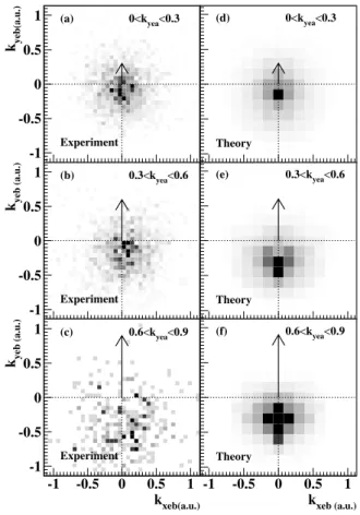 FIG. 3. Comparison between experimental data (left-hand panels) and theoretical results (right-hand panels) for the momentum distribution of electron b, when the transverse momentum of electron a was restricted to a certain interval, (a) and (d) 0 a:u: &lt