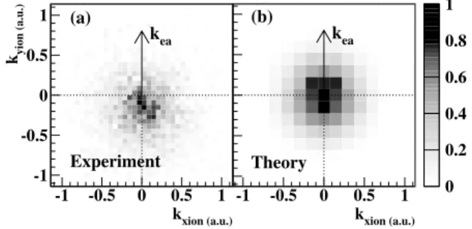 FIG. 4. Comparison between (a) experimental data and (b) theoretical results for the momentum distribution of the doubly charged ion
