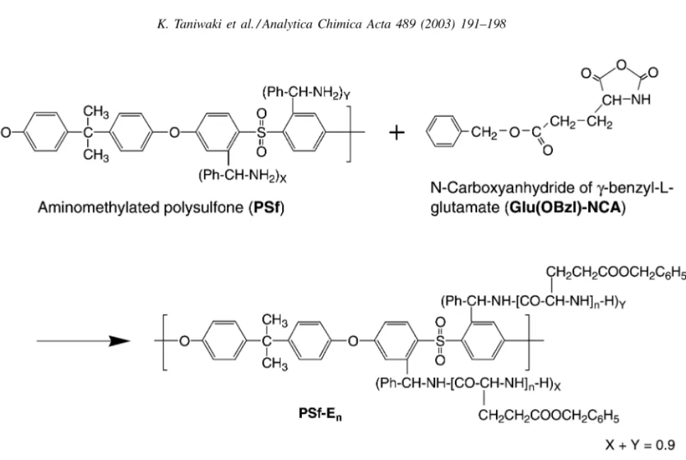 Fig. 1. Synthetic scheme of polysulfone bearing oligopeptide derivatives.