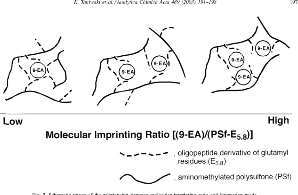 Fig. 7. Schematic image of the relationship between molecular imprinting ratio and interaction mode.