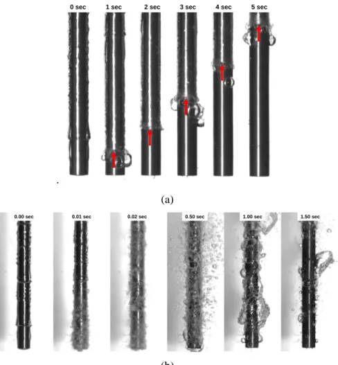 Figure  9.    Quenching  of  stainless  steel  rodlets  (4.8  mm  diameter;  50  mm  length)  in  water  at  atmospheric  pressure and 80C