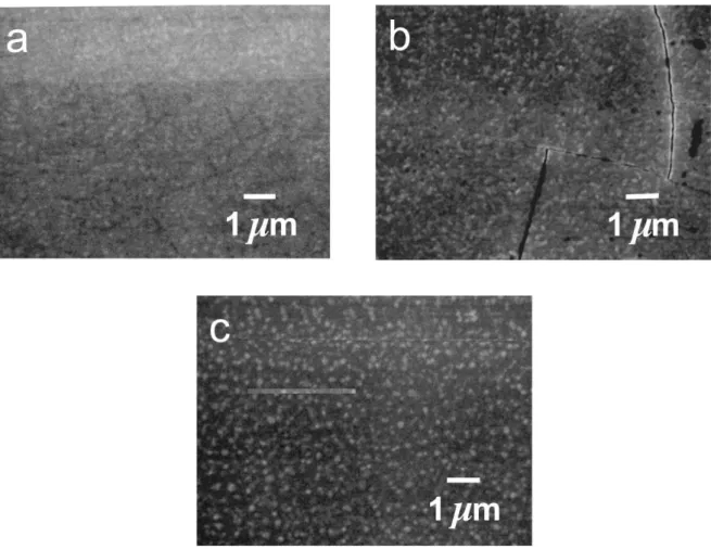 Fig. 2. SEM images of as-deposited films showing different types of film morphology: (a) SrFeO ; x (b) SrFe 0.50 Co 0.50 O ; and x (c) SrCoO 