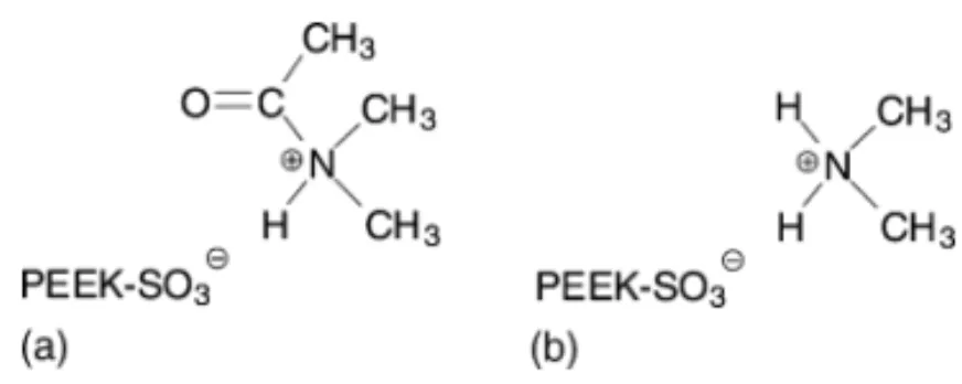 Fig. 7. Interaction of SPEEK with (a) DMAc and (b) DMA.