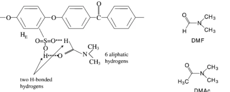 Fig. 4. Structures of DMF and DMAc and a possible configuration of hydrogen-bonding between –SO 3 H groups of SPEEK and DMF molecules.