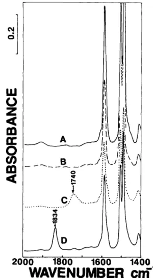 Figure 2 shows representative IRS-FTIR  spectra  of  the surface of  a  membrane  cast  from  an homo- 