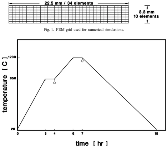 Fig. 1. FEM grid used for numerical simulations.