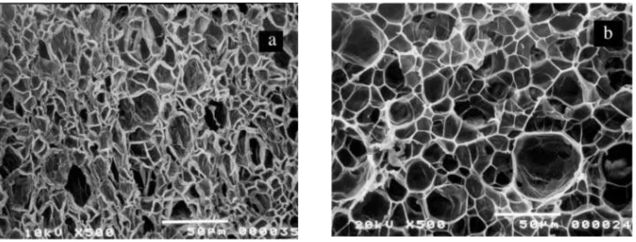 Figure 6 shows microphotographs of the secondary foams prepared at 120°C with CO 2  and N 2  gases