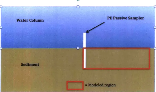 Figure  5:  Cross  section  diagram  of a  passive  sampler  introduced  in  the  sediment  bed of  a water  column