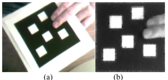Figure 2 – (a) Captured video frame (b) Stabilized representation relative to the target