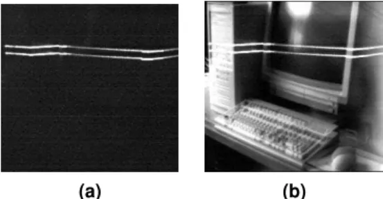 Figure 4. Biris in the field. (a) mounted on a trans- trans-lation rail; (b) image of the carved niche.