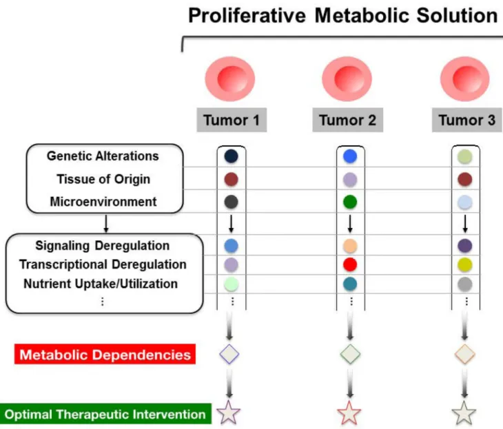 Figure 6. Unraveling Metabolic Diversity