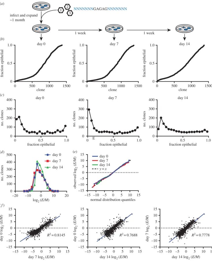 Figure 2. Phenotypic plasticity varies across clones. (a) Cells stably transduced with DNA barcodes were expanded over approximately 1 month into a large popu- popu-lation