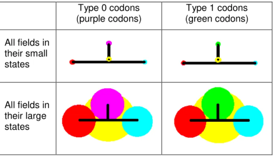Table  1.  The  two  types  of  codons  and  their  field  states.  The  fields  of  a  free  codon  are  always  small