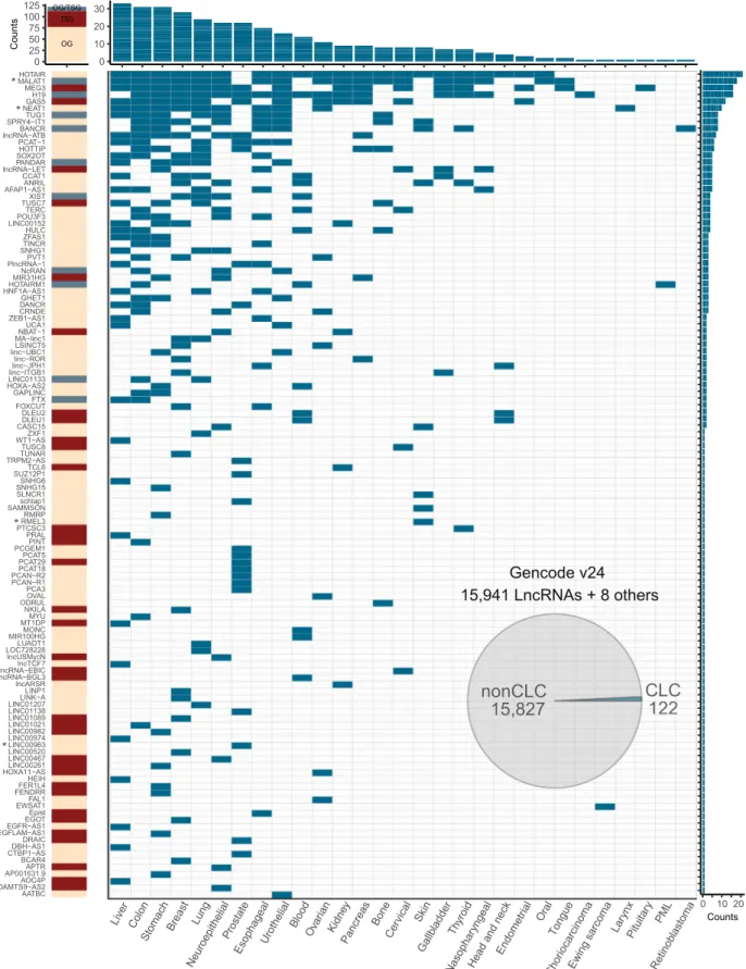 Fig. 1 Overview of the Cancer LncRNA Census. Rows represent the 122 CLC genes, columns represent 29 cancer types