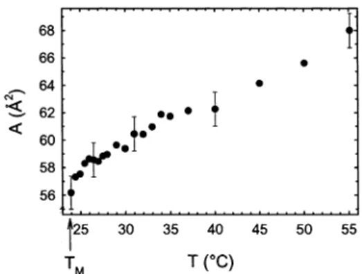 Figure 5. The lateral area per lipid as a function of temperature of fully hydrated DMPC bilayers.