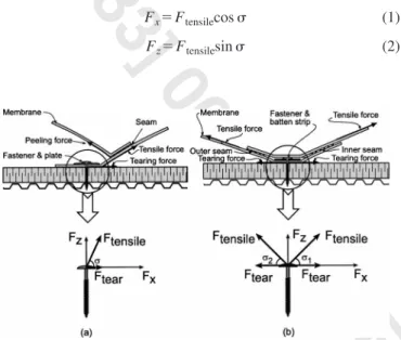 Fig. 1. Wind effects on single-ply mechanically attached roof assemblies
