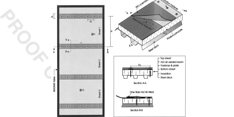 Fig. 6. Layout and sectional view of tested roof assembly with DSW