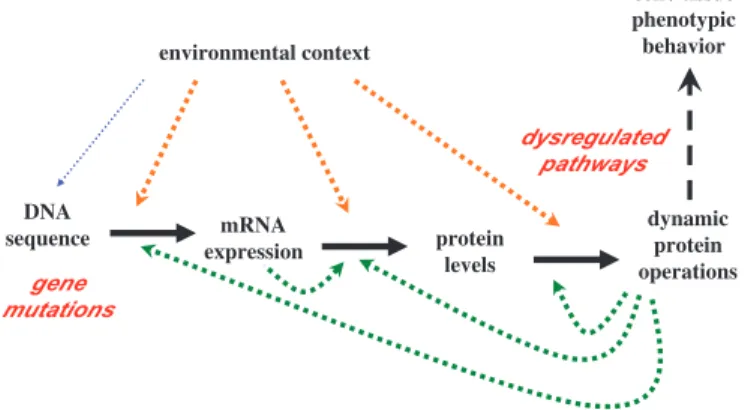 Fig. 1. Schematic illustration of molecular processes governing cell and tissue functional behavior, depicting how genetic alterations convolute with environmental context to yield ultimate pathos/physiological phenotypes.