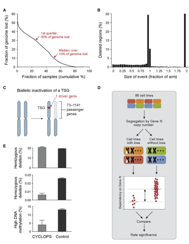 Figure 1. Identification of CYCLOPS Genes