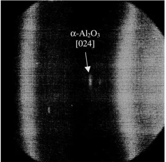 Figure 2 1-D X-ray diffraction patterns of the “as-prepared” and cal- cal-cined materials.