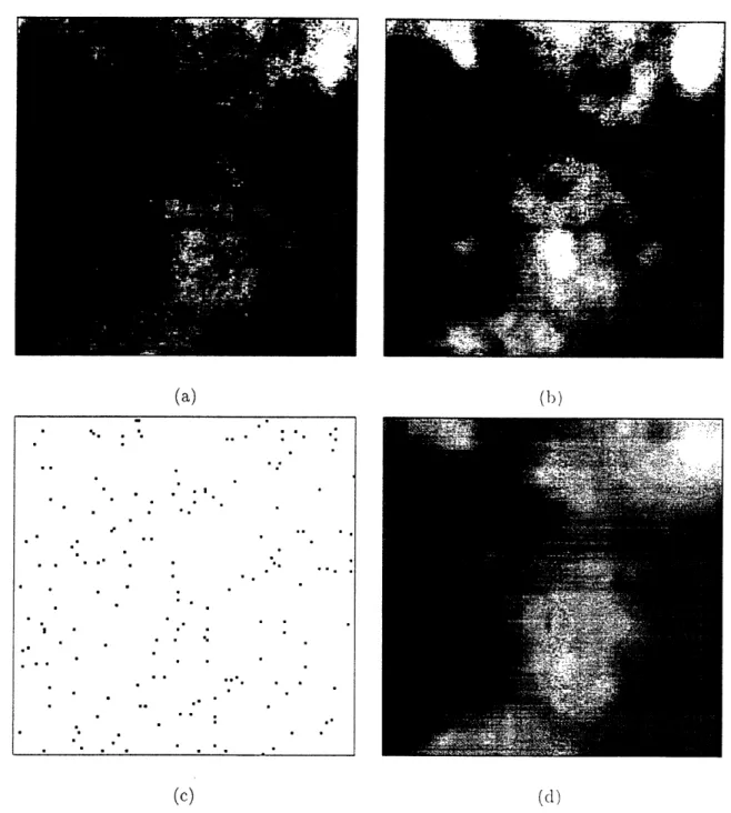 Figure  5:  These  four  figures  relate  to  linear  least-squares  estimation  of  a  signal  having  the  isotropic  correlation