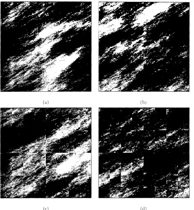 Figure  8:  These  four  figures  displa  ampIle  peths  of  a  ralndom  y  field  having  tilhe  correlation  function  given  in  (33b, for  a  128  x  128  pixel  region
