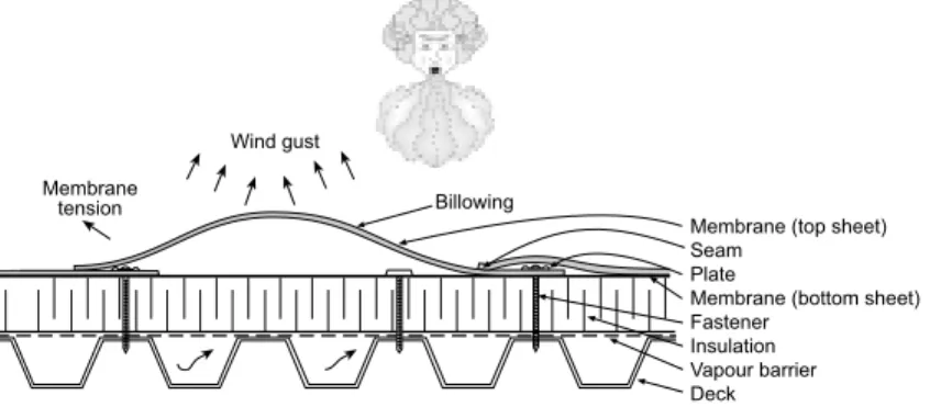 Figure 2. Wind effects on single-ply mechanically attached roof assemblies