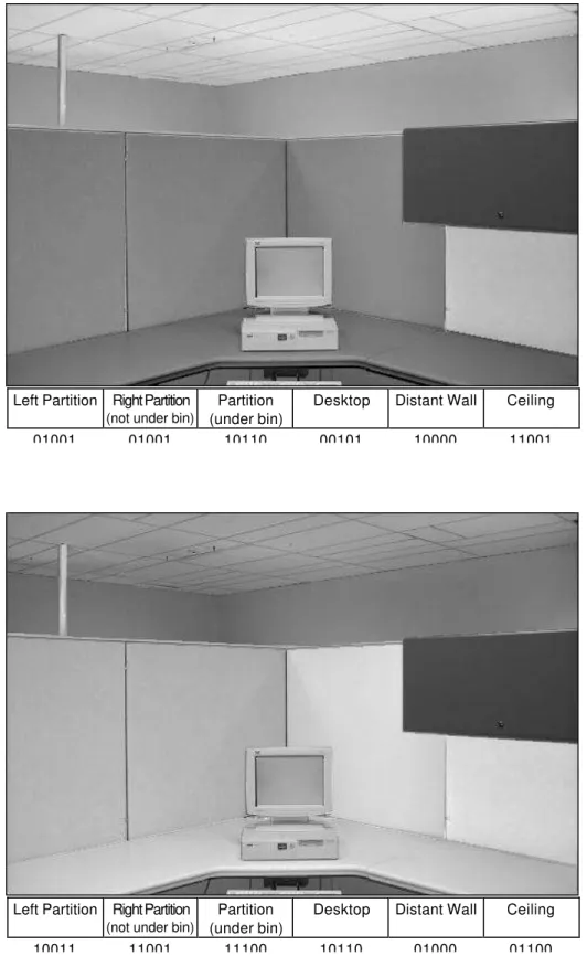Figure 3.  Two example combinations of surface luminances.  Below each is the binary phenotype that represents the combinations of luminances, made up of 5-digit genes for each surface.