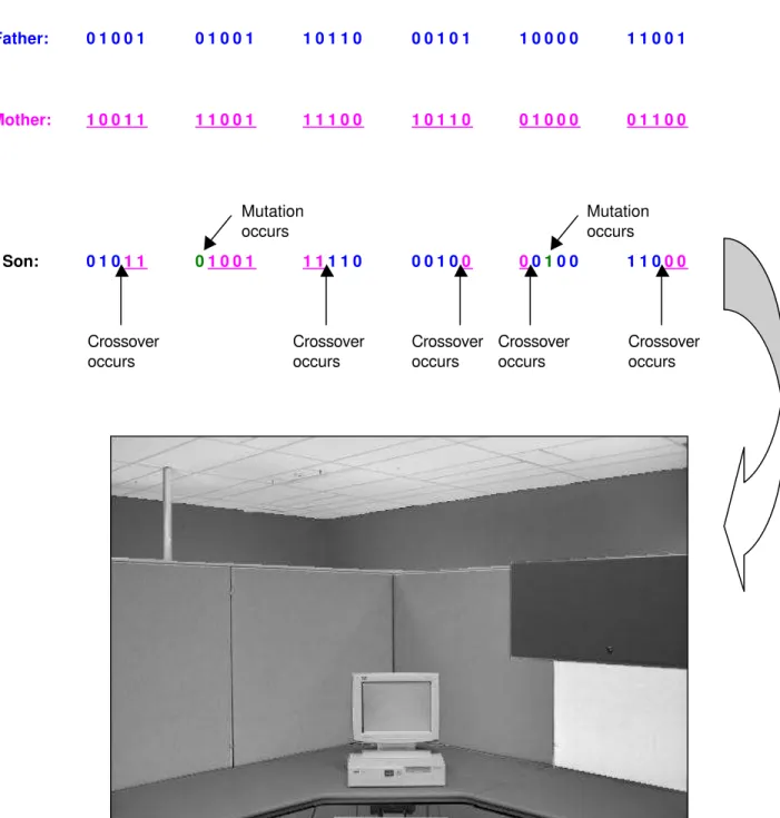Figure 4.  Crossover and mutation from parents’ phenotypes (see Figure 3) to create a son phenotype;