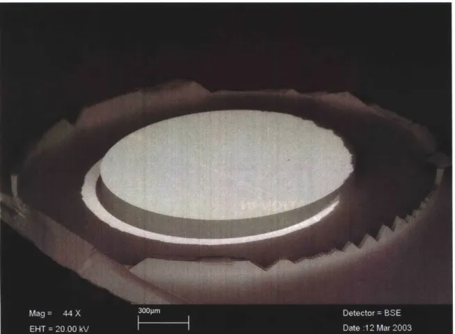 Figure 9:  SEM  Micrograph  of the silicon  diaphragm  after the fulcrum  is deliberately broken  from the anodic  bond with the Pyrex wafer