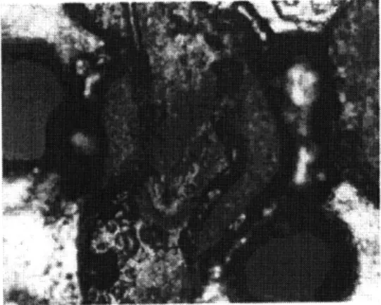 Figure  3.8:  Close-up of melted traces on  stator during high-voltage  testing All of these tests were performed  on the rotor and stator when they  were unmounted.