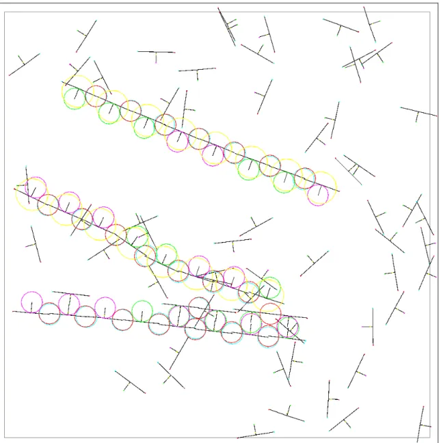 Figure 6. Step 30,850. The daughter strand has replicated itself, producing a granddaughter