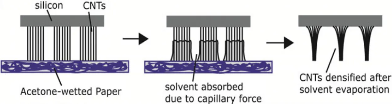 Figure 4.3: Illustrations of the experimental setup for the bulk-scale capillary densification of aligned CNT arrays and the mechanism of the paper-mediated densification, as presented in Ref