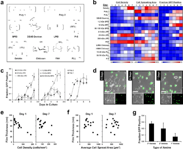 Figure 5. Polycation library screen of DNA transfection from LbL films