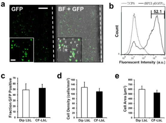 Figure 6. Large-scale reproduction of best performing architecture shows similar behavior (a) Analysis of transfection of HeLa cells cultured on (BPEI/pEGFP) 10  coated microscope slides