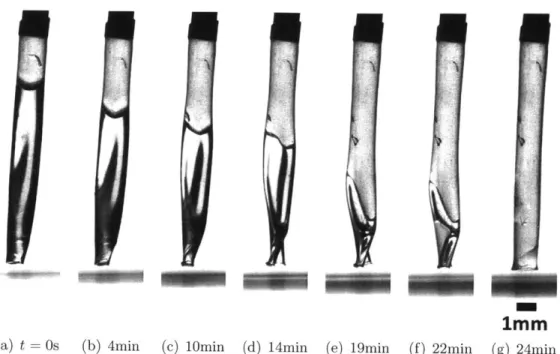Figure  4-5:  Example  of a vertical evaporation  experiment  in a flexible tube suspended from  a  rigid  metal  tube