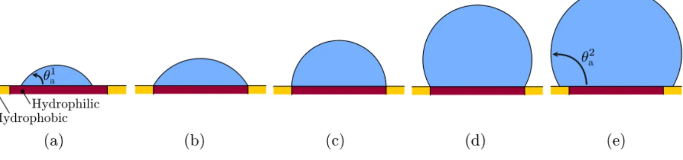 Figure 2. Schematic representation of the different stages of growth of a cylindrical segment on a hydrophilic stripe in the absence of any capillary instability