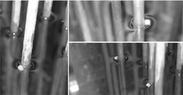 Figure 3. Snapshots of particles trapped against the cylinders through the Cheerios effect.