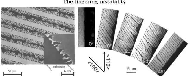 Figure 1-7: Fingering instabilities in polycrystalline Au (left) and single-crystal Si (right) are shown