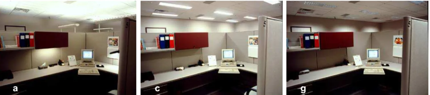 Figure 1.  The three images viewed by participants . 