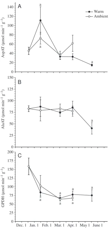 Fig. 6. Liver activities of aspartate aminotransferase (AspAT), alanine aminotransferase (AlaAT) and glycerol-3-phosphate dehydrogenase (GPDH) from warm and ambient smelt