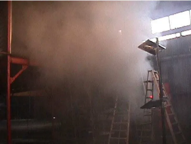 Figure 4.  Smoke cooled by sprinklers spilling into simulated mall.