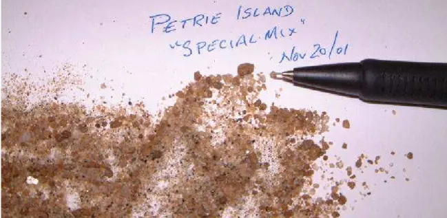 Figure 2 Sand chosen to represent Hibernia Sand Formation/Adolphus  Sand (Davies, 2002) 