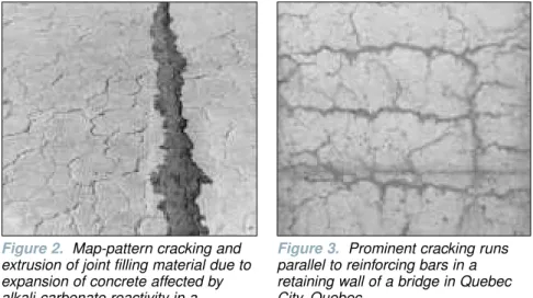 Figure 3. Prominent cracking runs parallel to reinforcing bars in a  retaining wall of a bridge in Quebec City, Quebec.